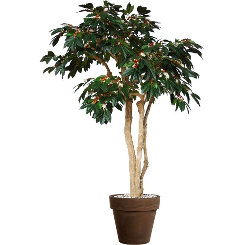 Planta semi-artificiala Ila, Coffee Arabica Green Red - 250 cm